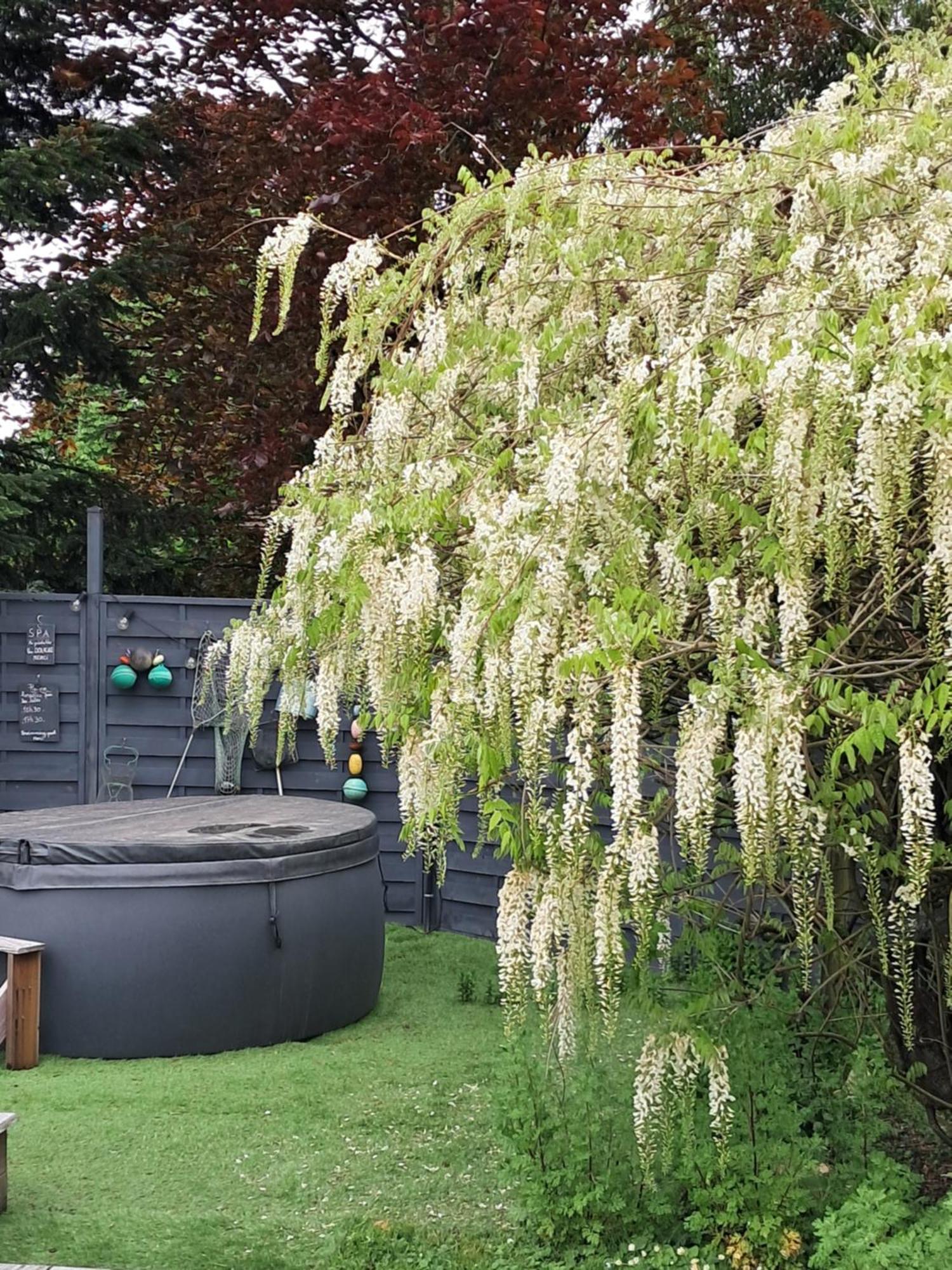 オービ二ー・シュル・ ネール Le Buisson De La Gariole Bed & Breakfast エクステリア 写真